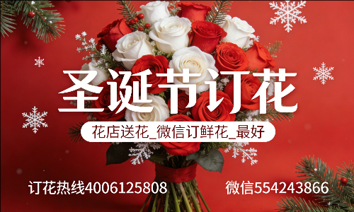 嘉兴南湖区花店送花_微信订鲜花_圣诞节订花_最好? 嘉兴南湖区花店
