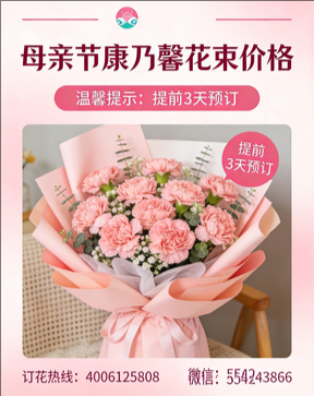 嘉兴南湖区花店母亲节康乃馨花束