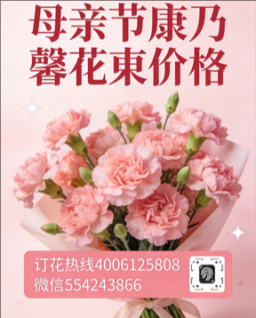 嘉兴南湖区花店母亲节康乃馨花束